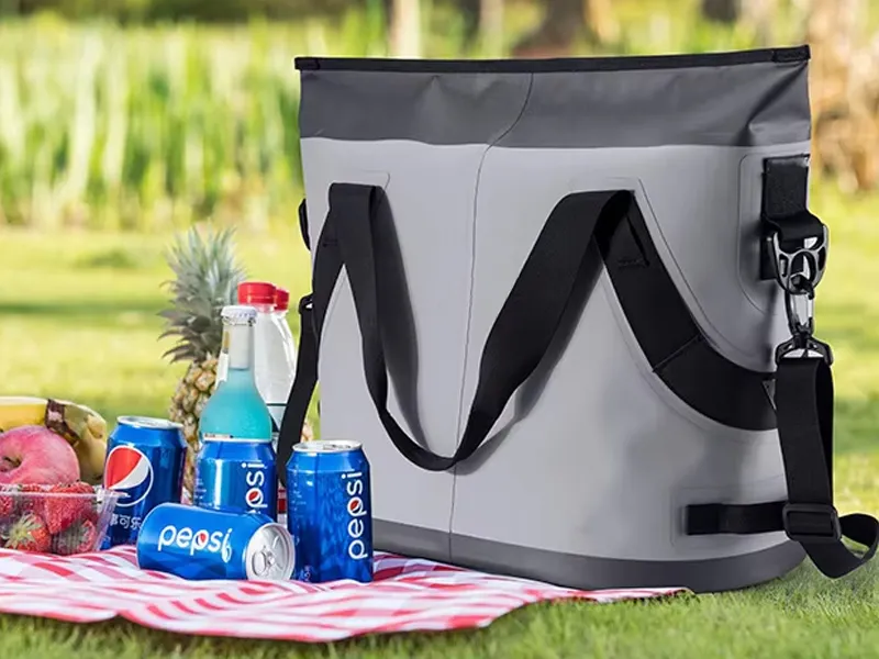 Partes glaciei sarcinas sacculos in castra